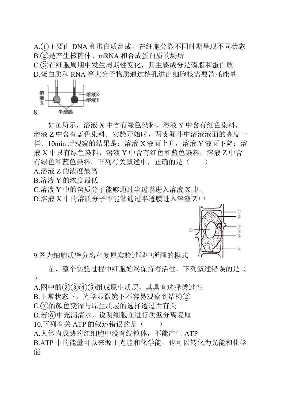 山西省洪洞县第一中学届高三上学期第二次月考试题生物doc.docx_第3页