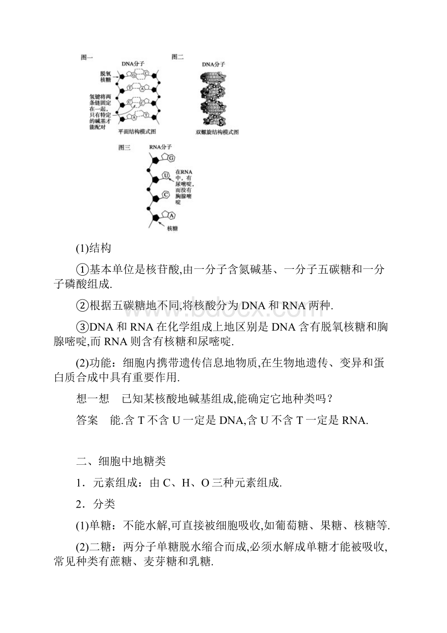 第一单元学案遗传信息的携带者核酸细胞中的糖类和脂质.docx_第2页