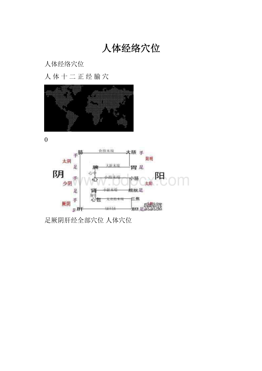 人体经络穴位.docx_第1页