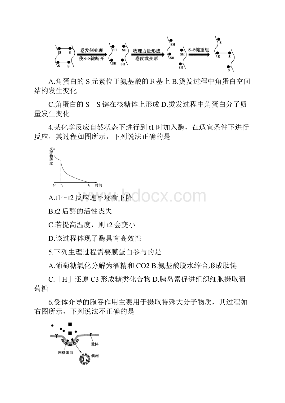 山东省德州市高三生物上学期期中试题.docx_第2页