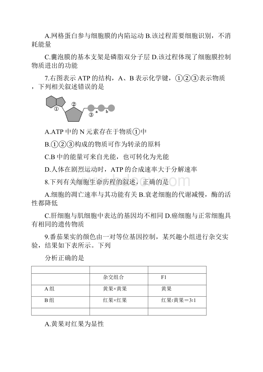 山东省德州市高三生物上学期期中试题.docx_第3页