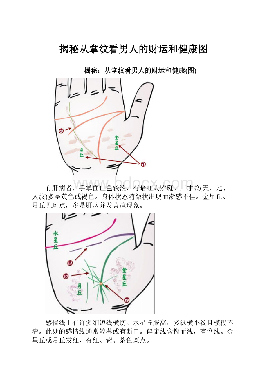 揭秘从掌纹看男人的财运和健康图.docx_第1页