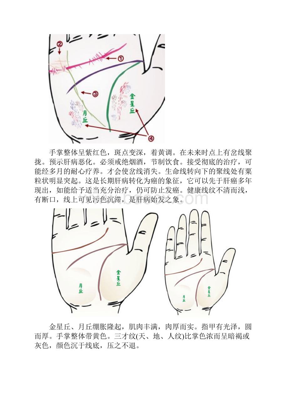 揭秘从掌纹看男人的财运和健康图.docx_第2页