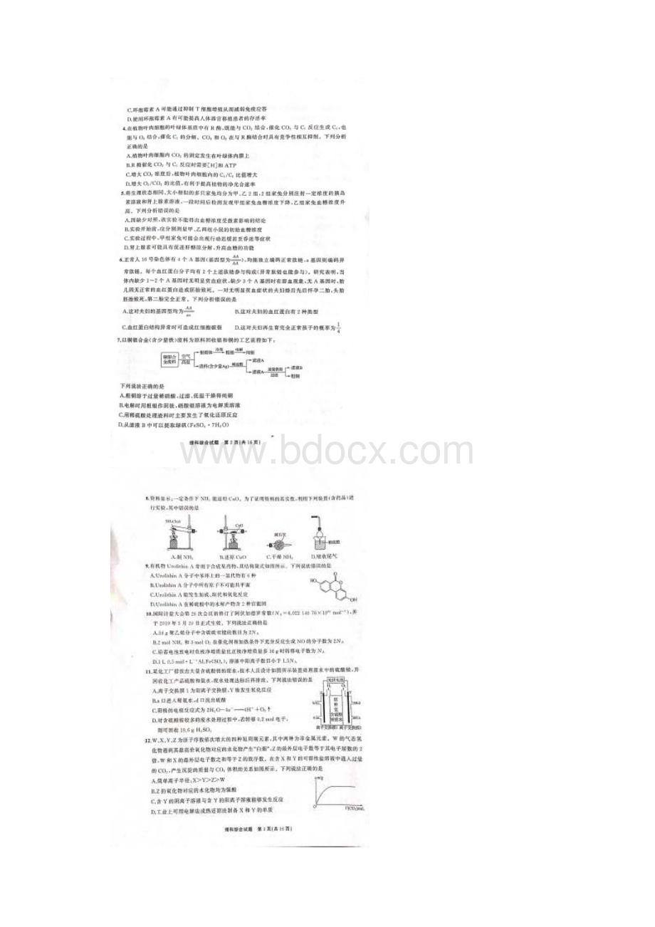 河北省衡水中学全国高三统一联合考试理科综合试题含答案.docx_第2页