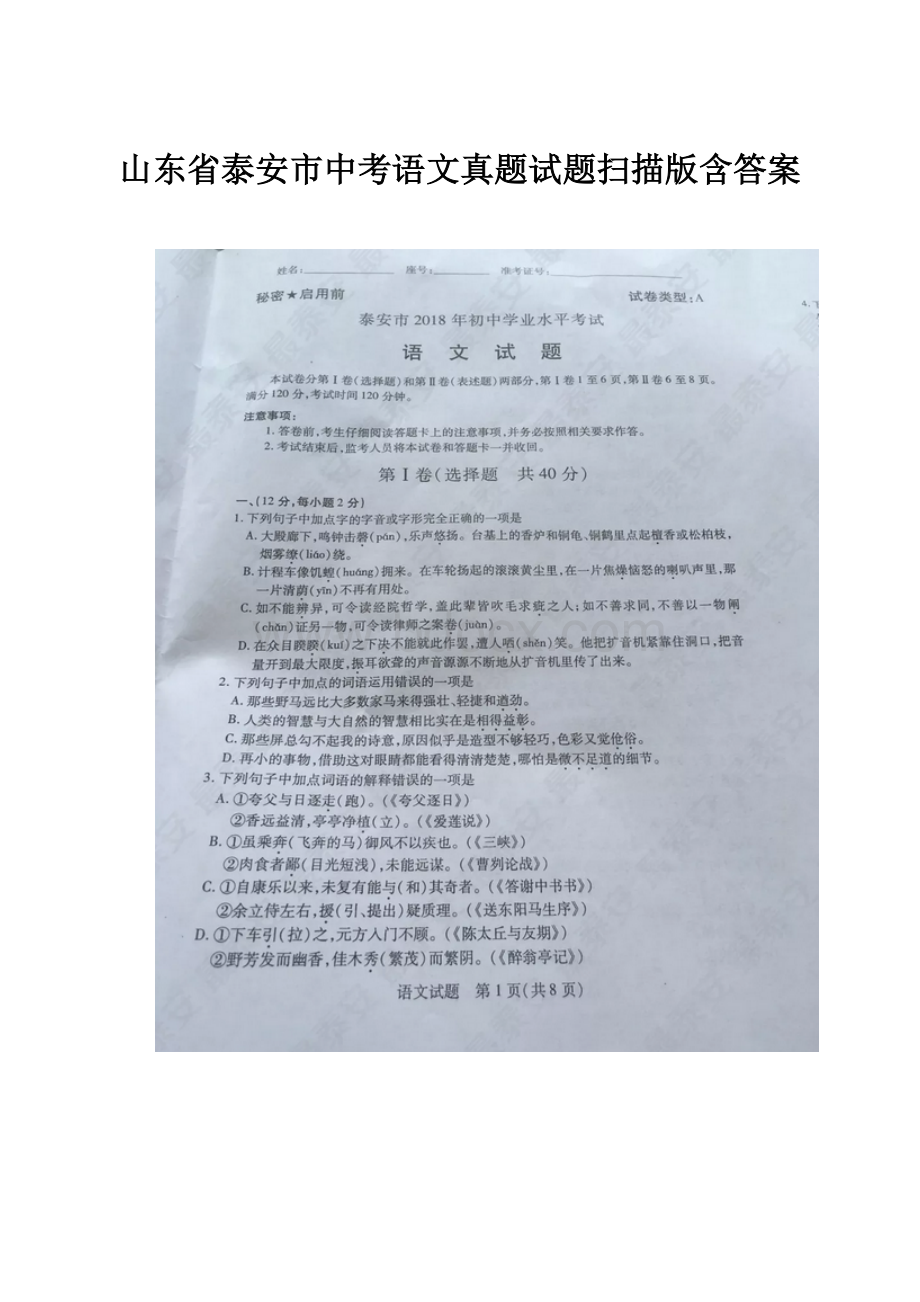 山东省泰安市中考语文真题试题扫描版含答案.docx