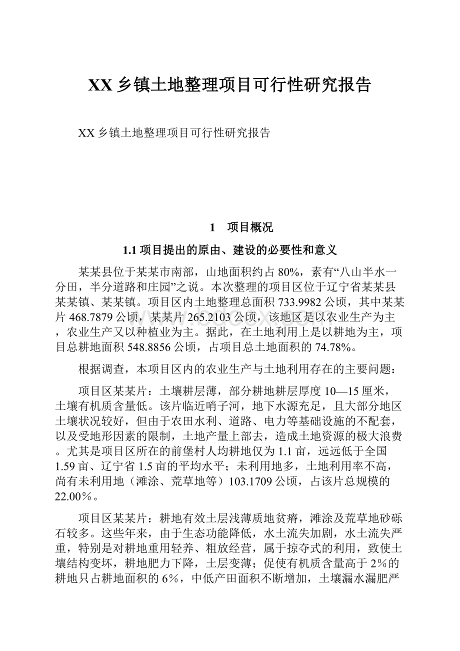 XX乡镇土地整理项目可行性研究报告.docx_第1页