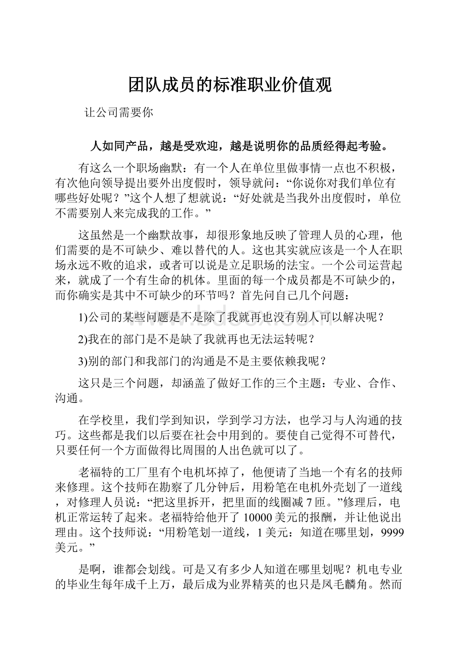 团队成员的标准职业价值观.docx