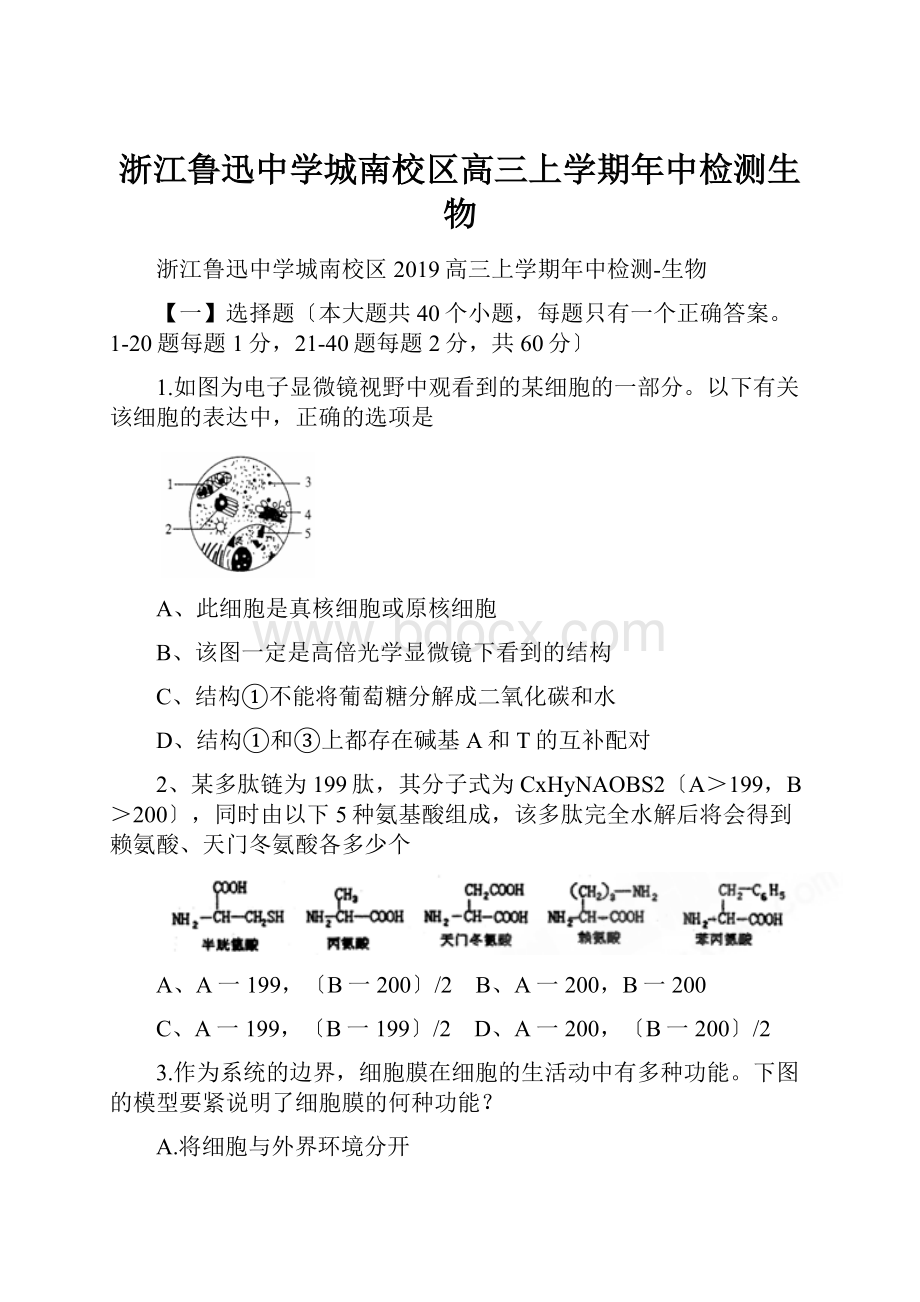 浙江鲁迅中学城南校区高三上学期年中检测生物.docx_第1页