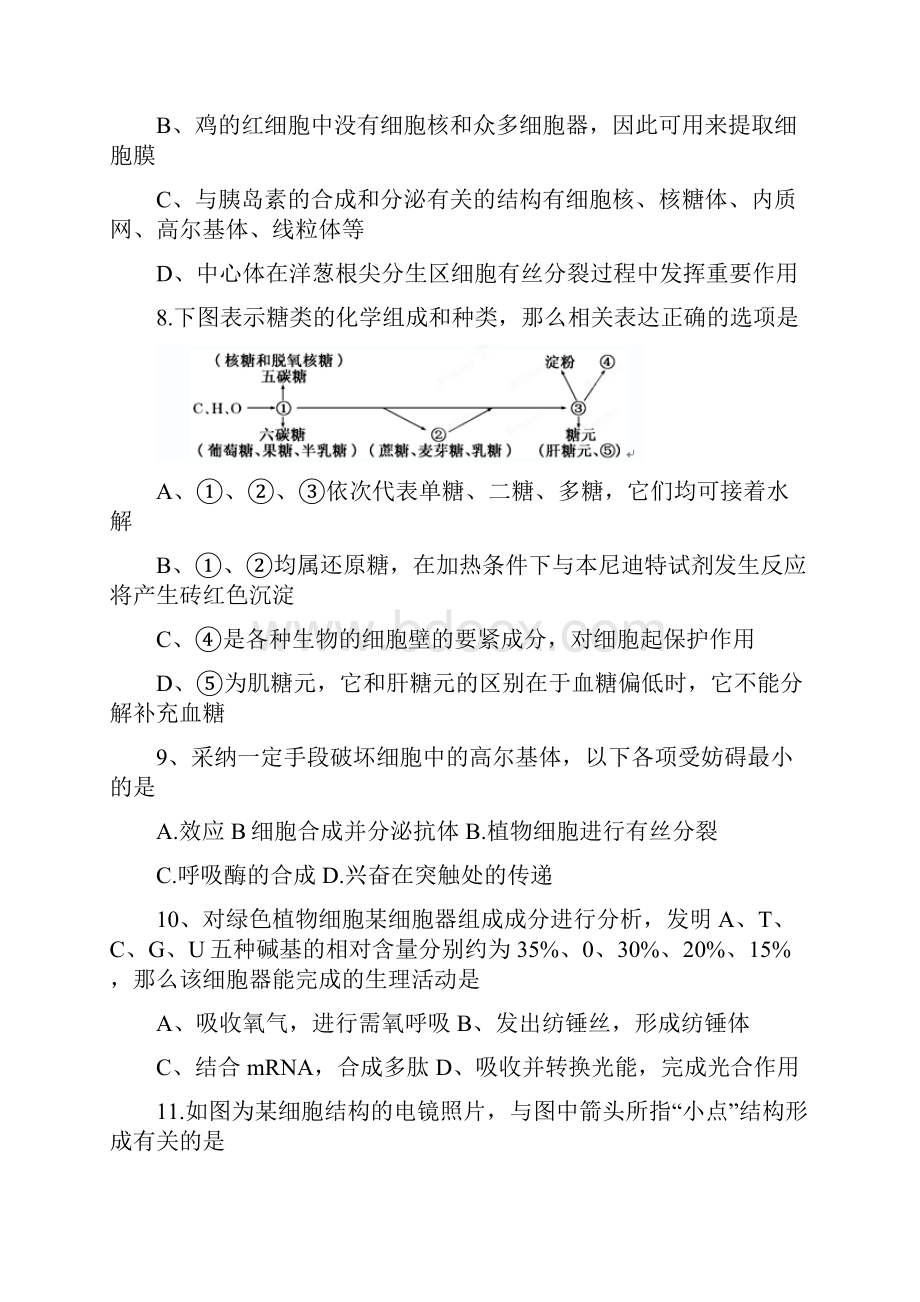 浙江鲁迅中学城南校区高三上学期年中检测生物.docx_第3页