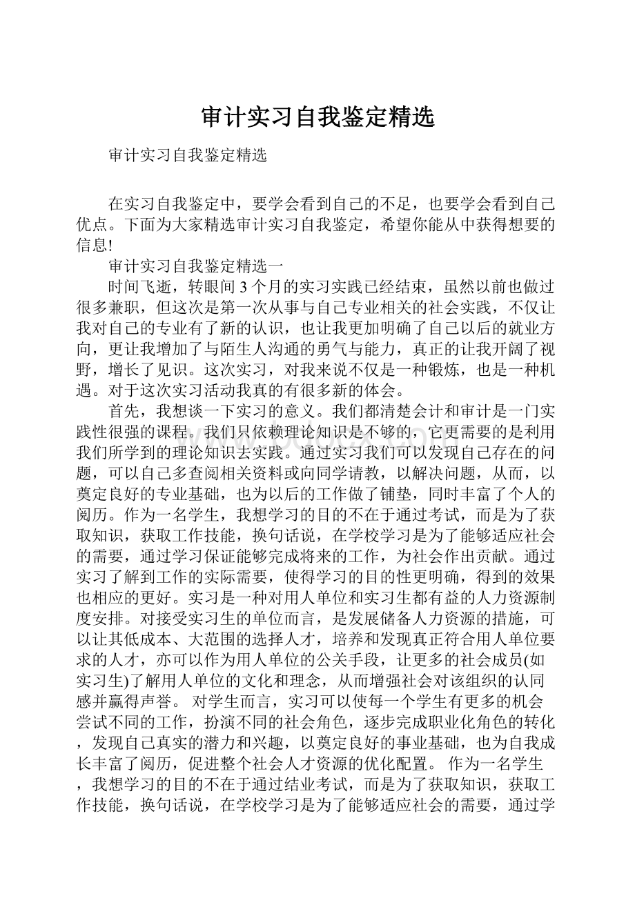 审计实习自我鉴定精选.docx