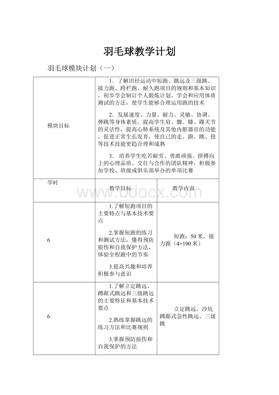 羽毛球教学计划.docx