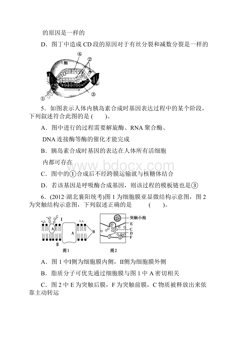 高考6+4+2选1仿真模拟卷三.docx_第3页