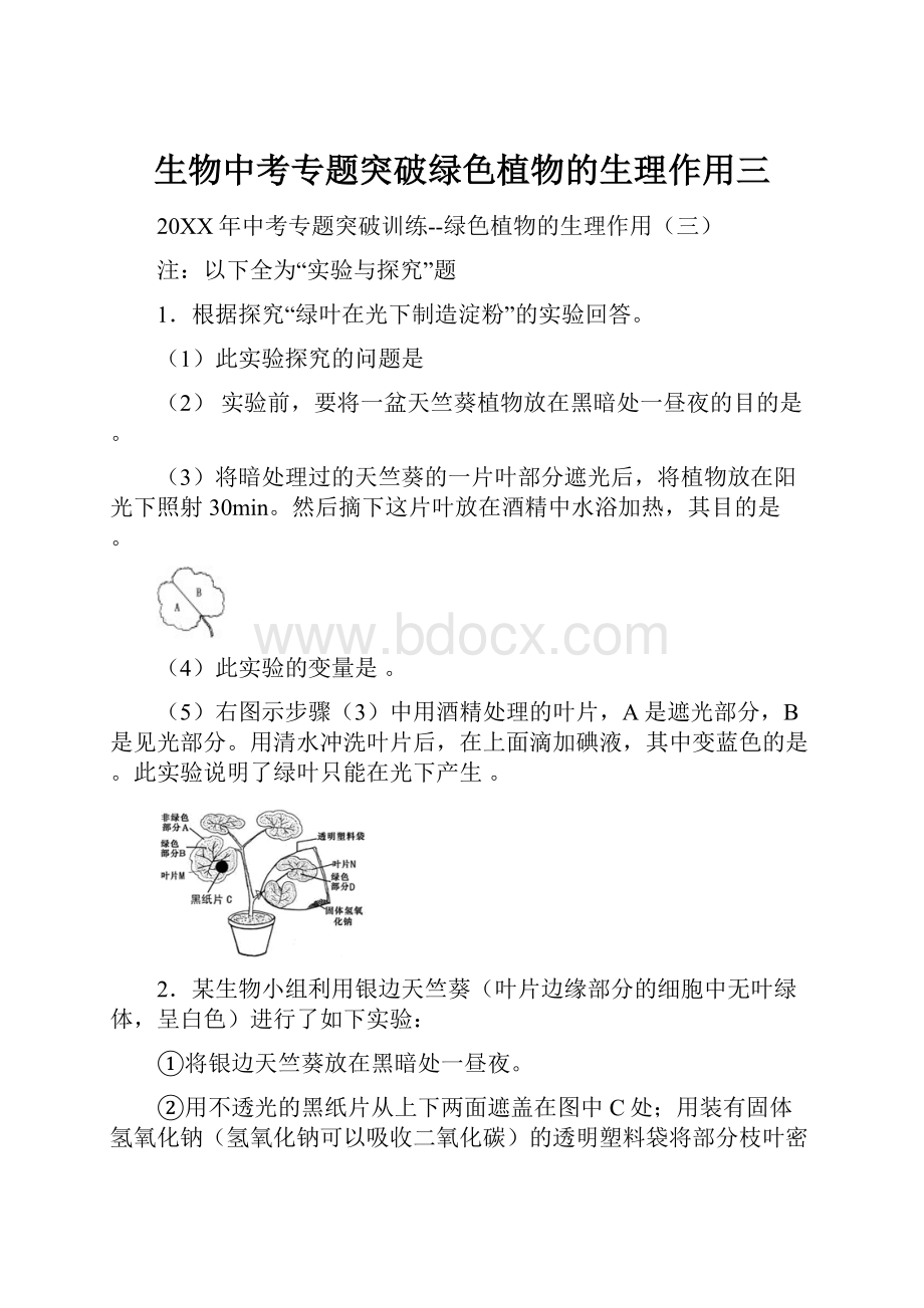 生物中考专题突破绿色植物的生理作用三.docx