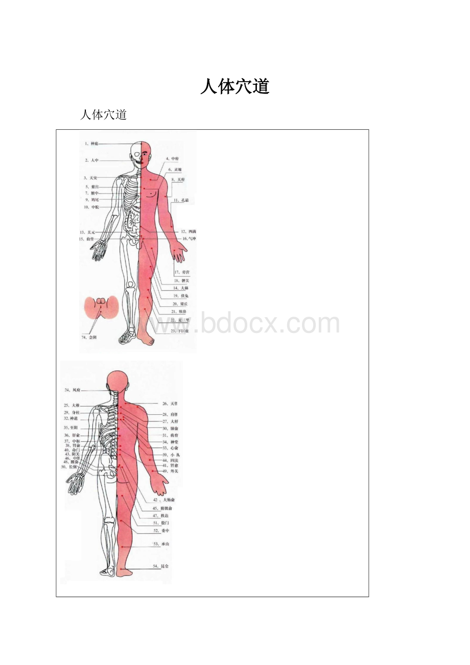 人体穴道.docx