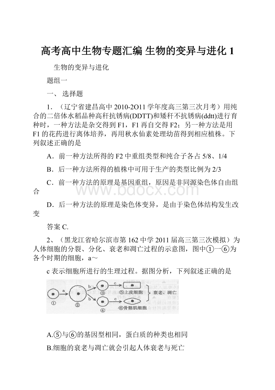 高考高中生物专题汇编 生物的变异与进化1.docx_第1页