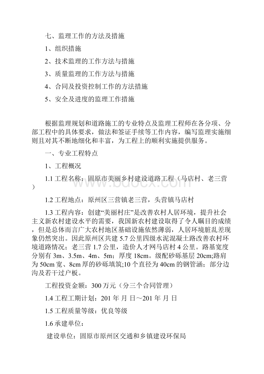 美丽乡村道路监理实施细则.docx_第3页