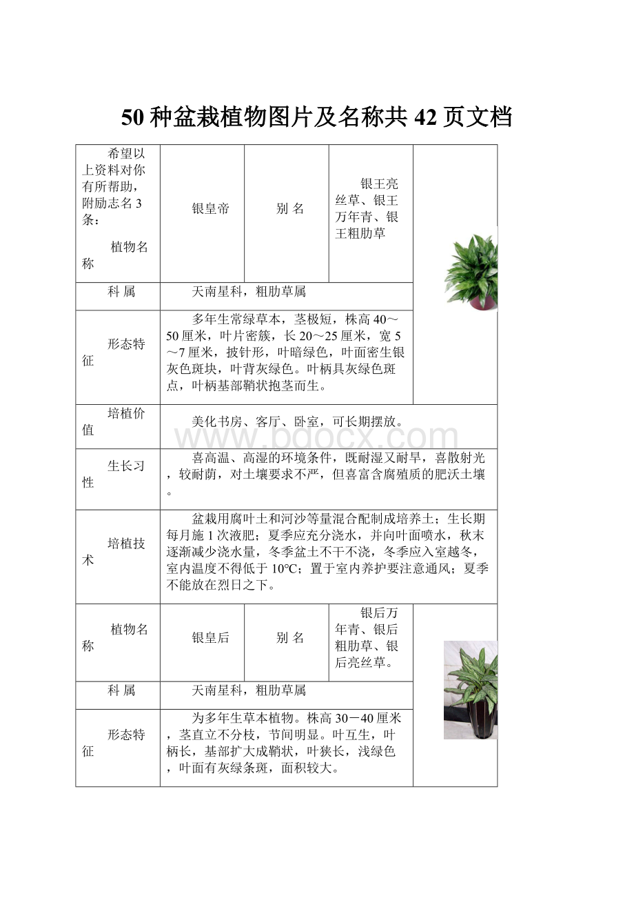 50种盆栽植物图片及名称共42页文档.docx