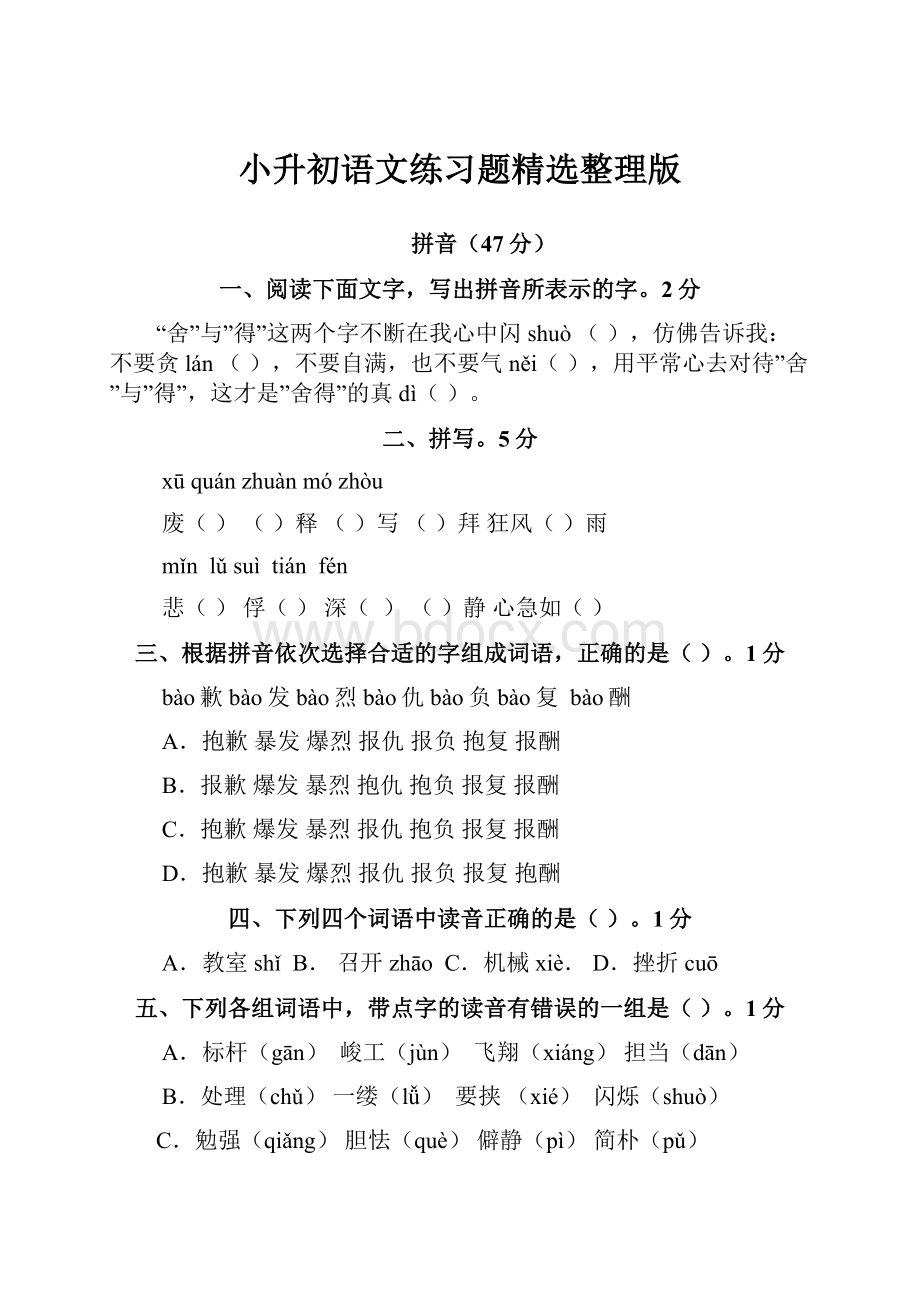 小升初语文练习题精选整理版.docx_第1页