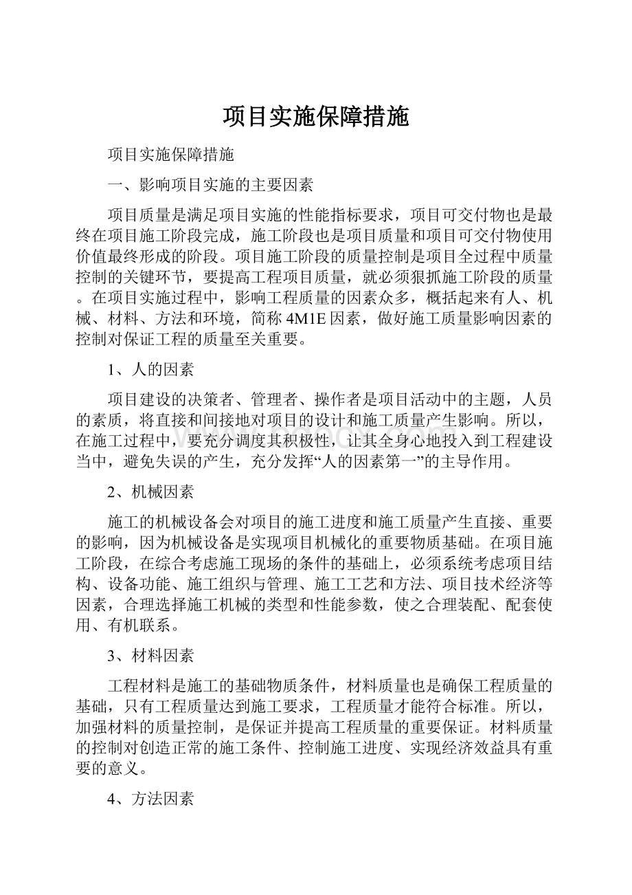 项目实施保障措施.docx_第1页