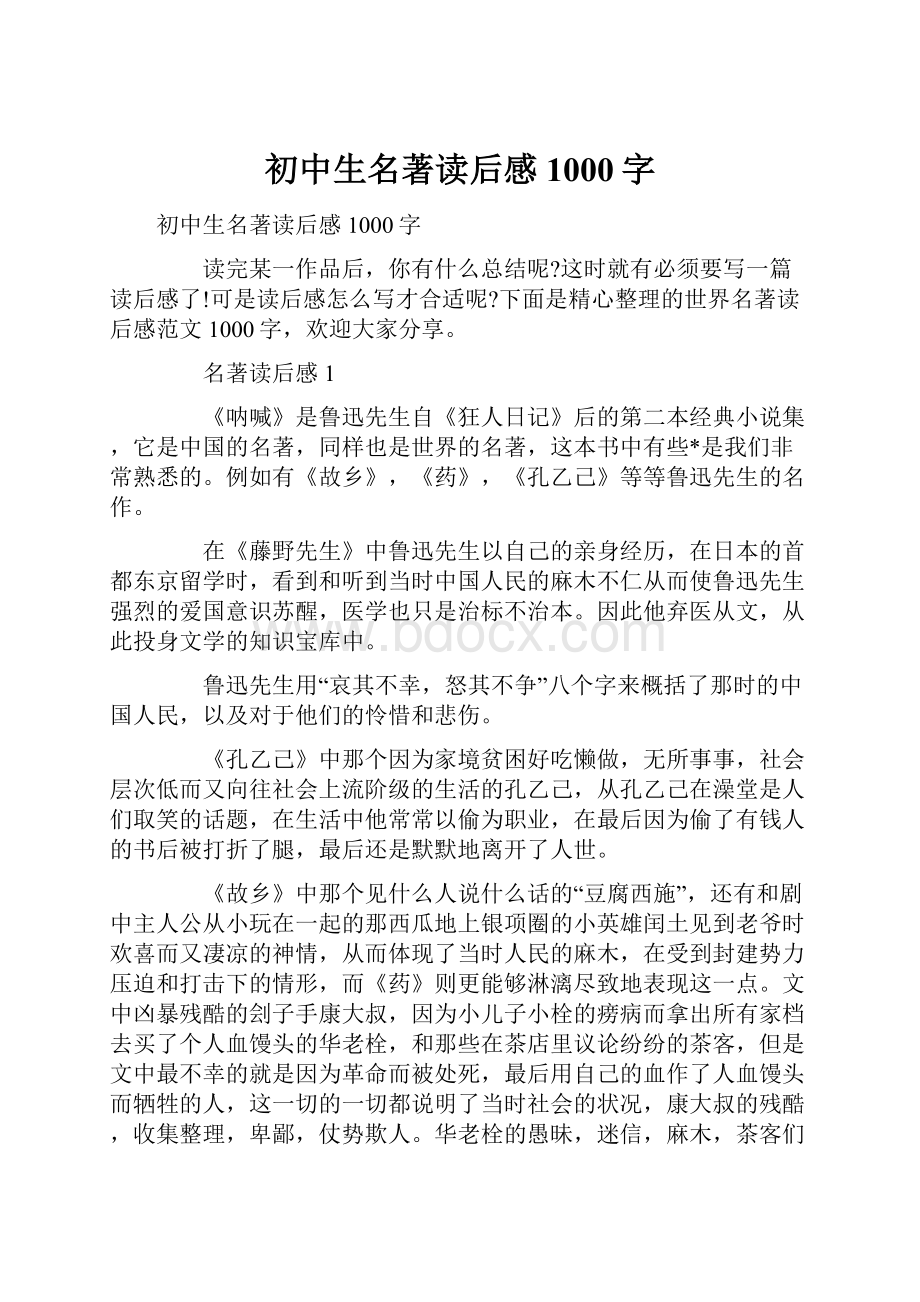 初中生名著读后感1000字.docx