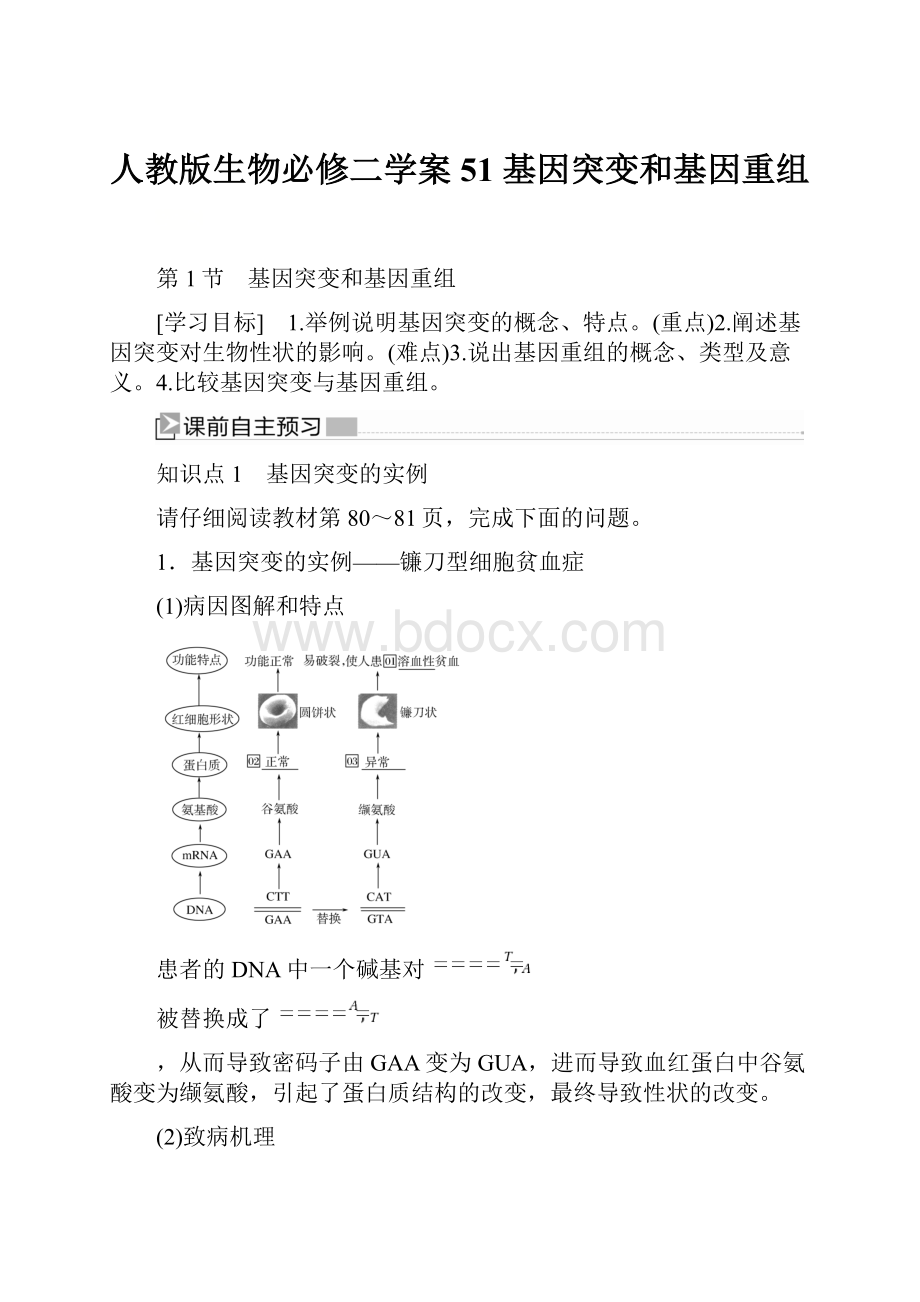 人教版生物必修二学案51 基因突变和基因重组.docx