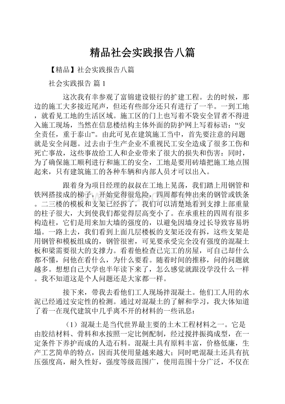 精品社会实践报告八篇.docx