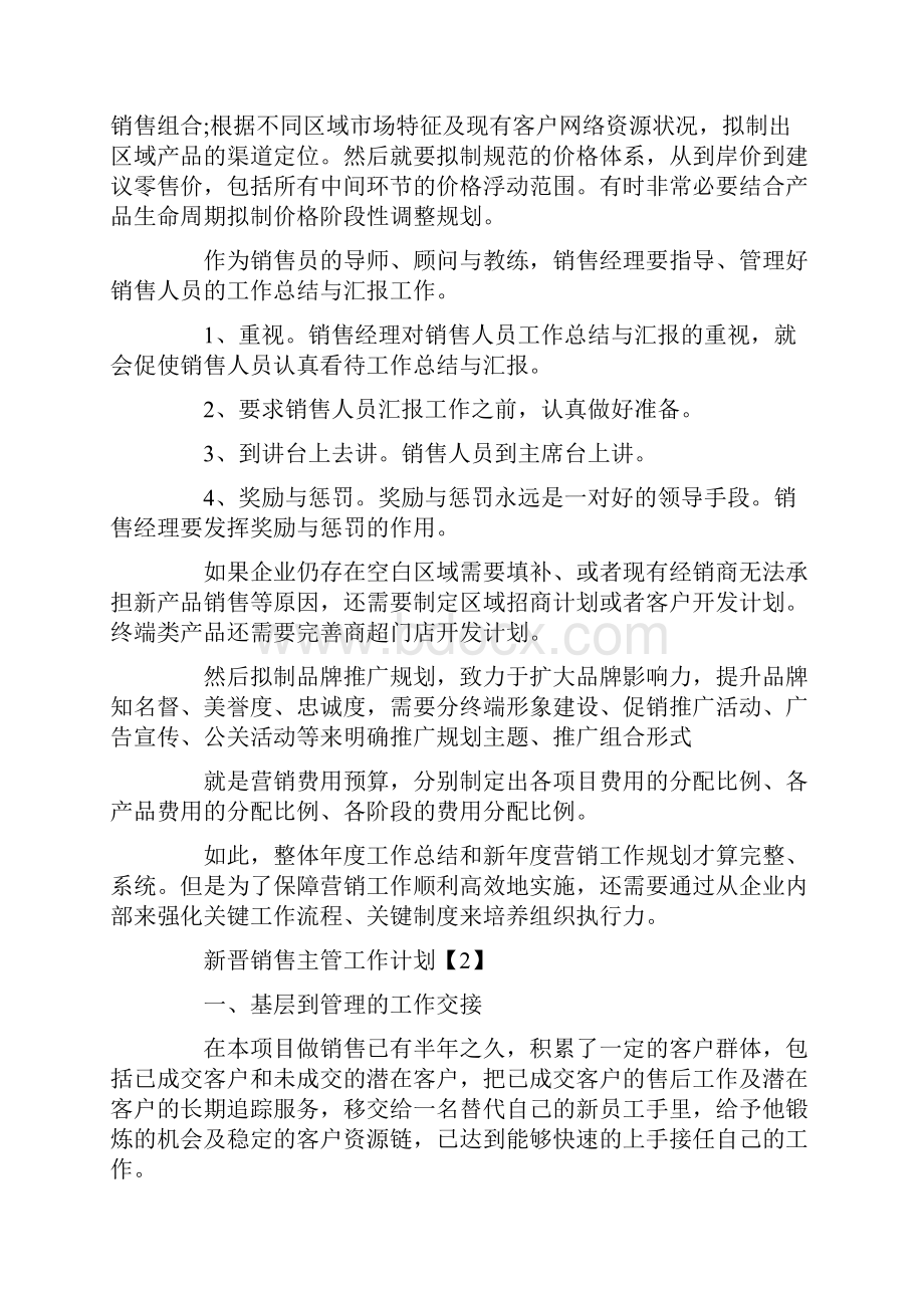 新晋销售主管工作计划范文.docx_第2页