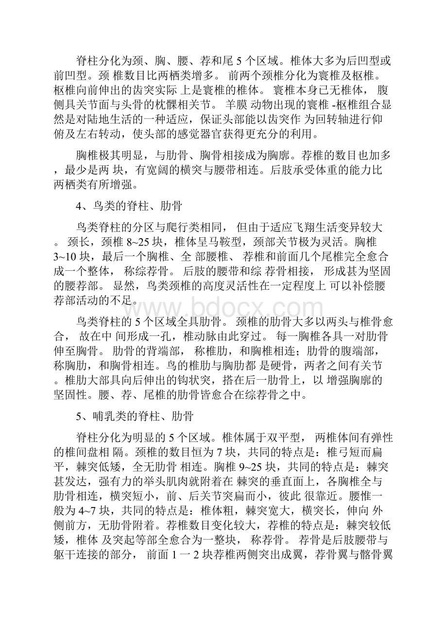 各类脊椎动物骨骼的比较.docx_第2页