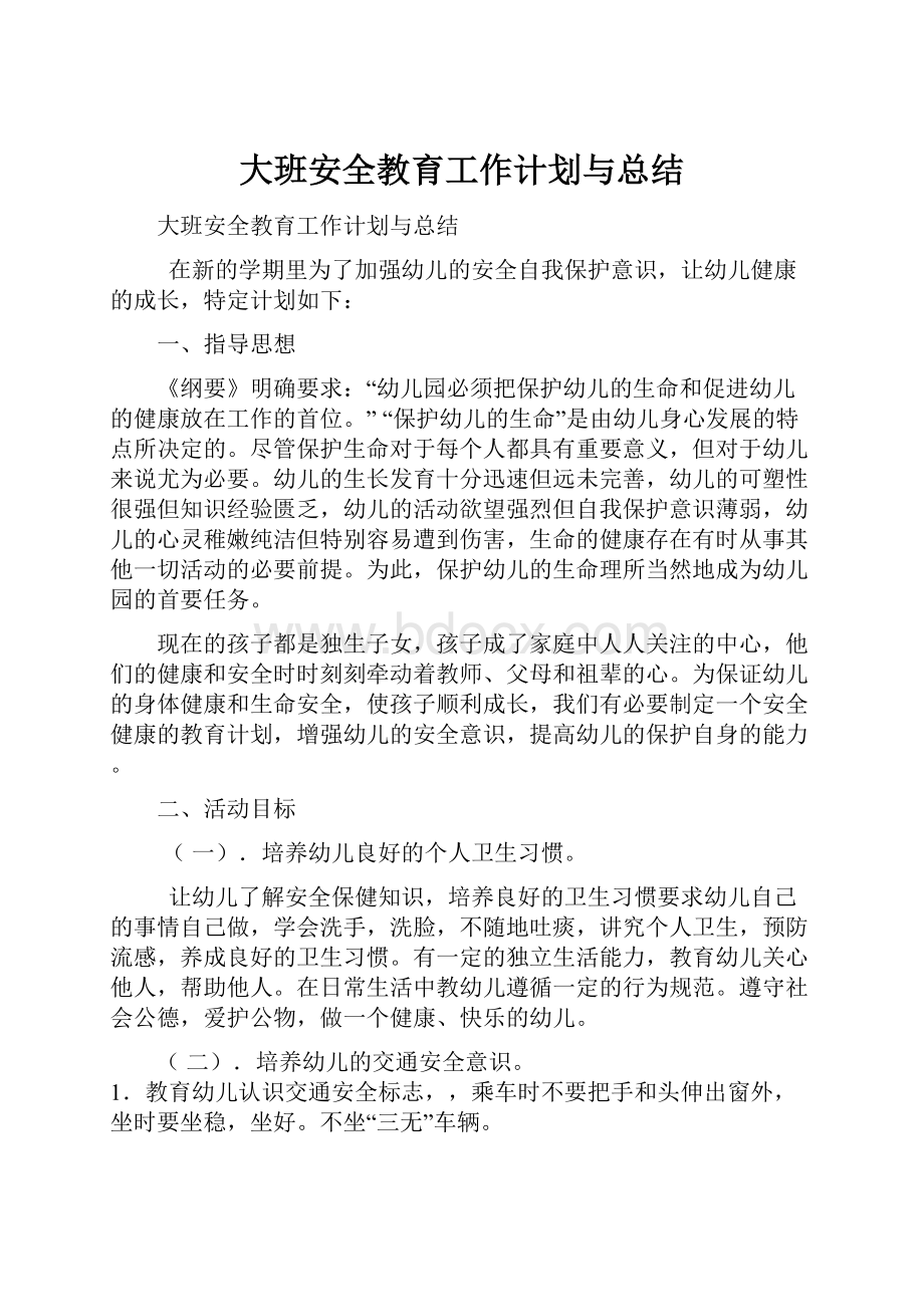 大班安全教育工作计划与总结.docx