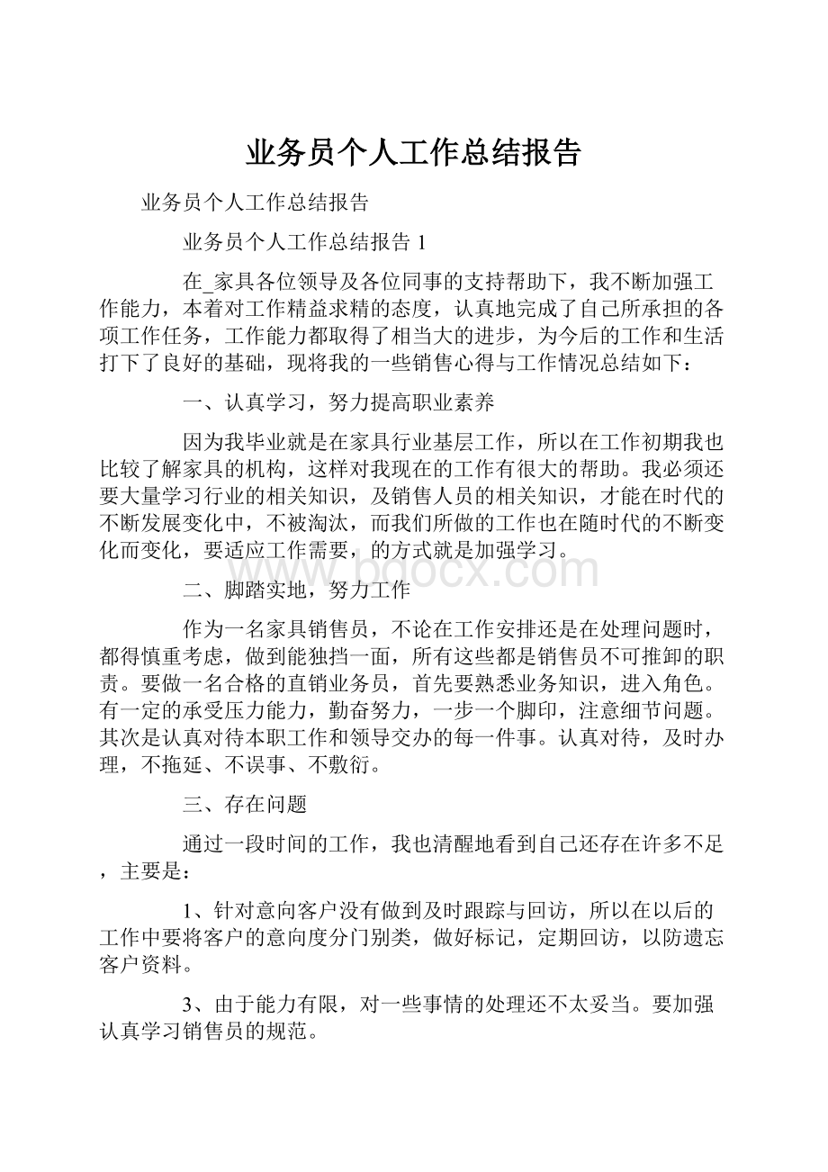 业务员个人工作总结报告.docx