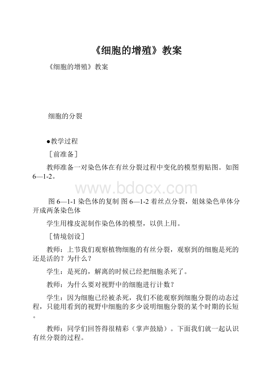 《细胞的增殖》教案.docx