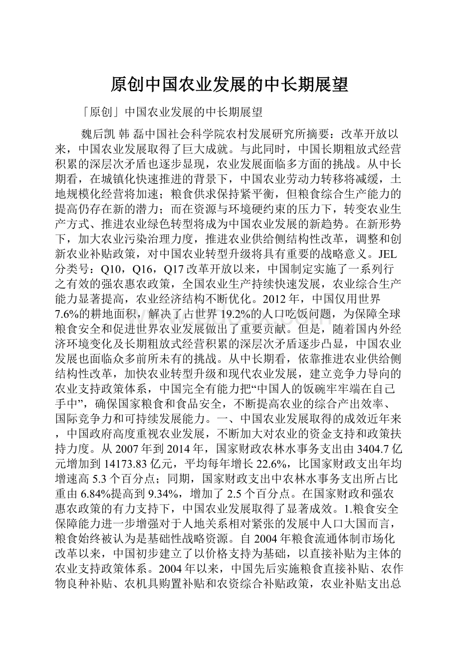 原创中国农业发展的中长期展望.docx