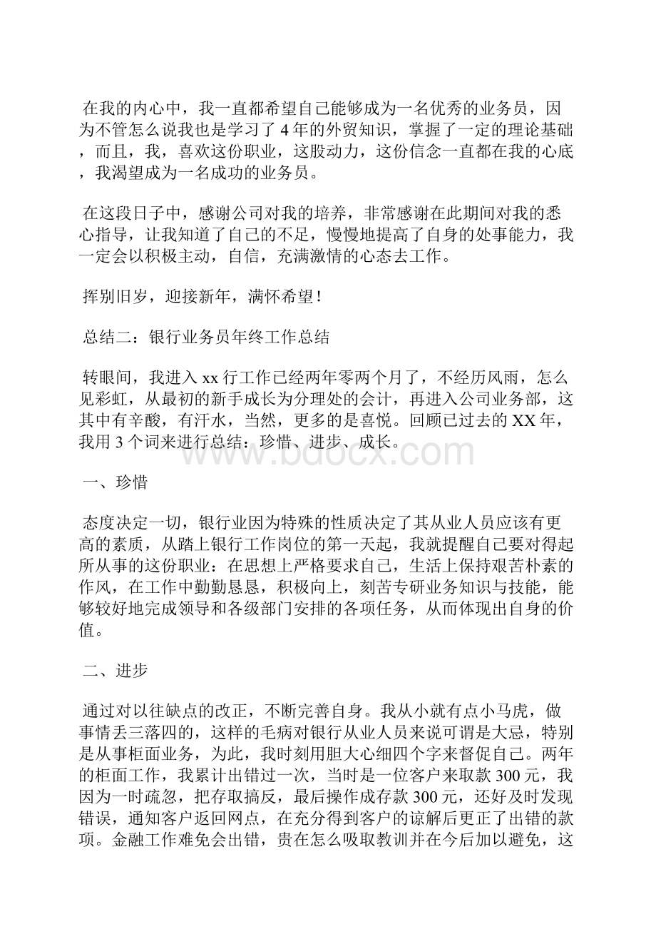 业务员年终工作总结.docx_第2页