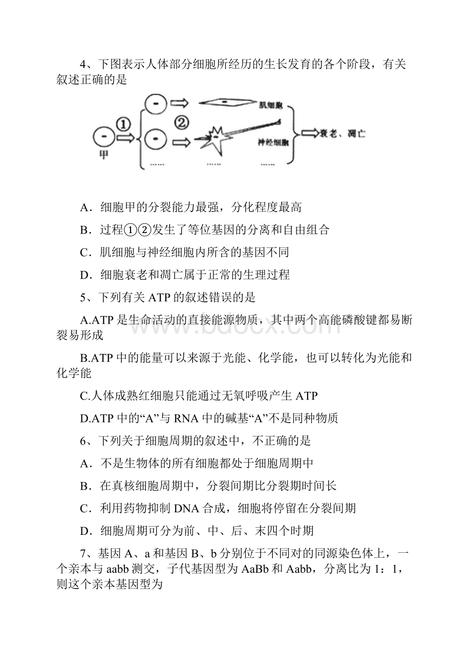 学年高一下学期期末考试生物试题 含答案.docx_第2页