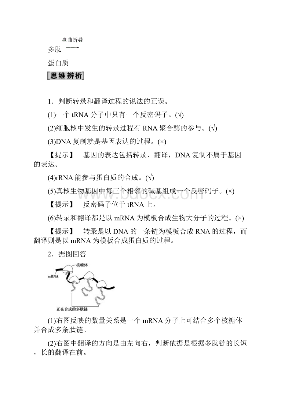 高考一轮苏教版生物 必修2 第6单元 第3讲 基因控制蛋白质的合成.docx_第3页