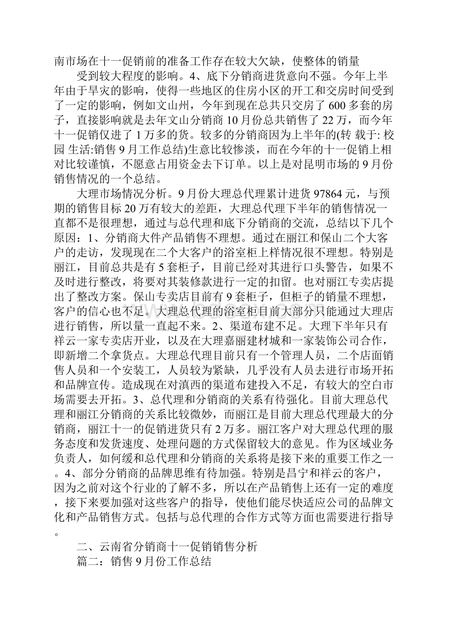 销售工作总结.docx_第2页