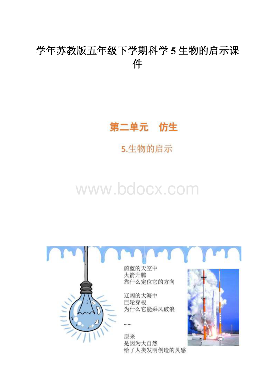 学年苏教版五年级下学期科学5生物的启示课件.docx_第1页