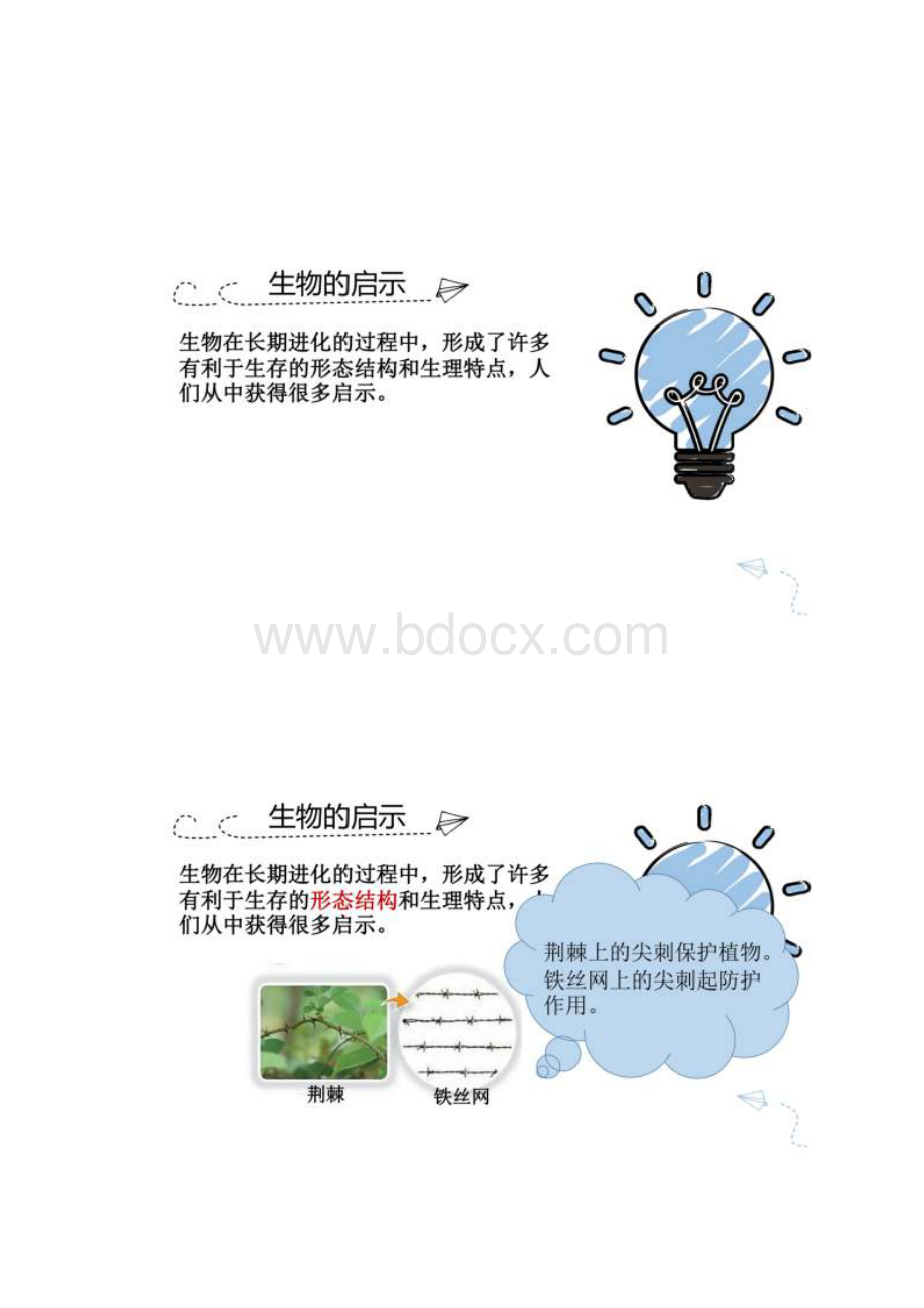 学年苏教版五年级下学期科学5生物的启示课件.docx_第2页