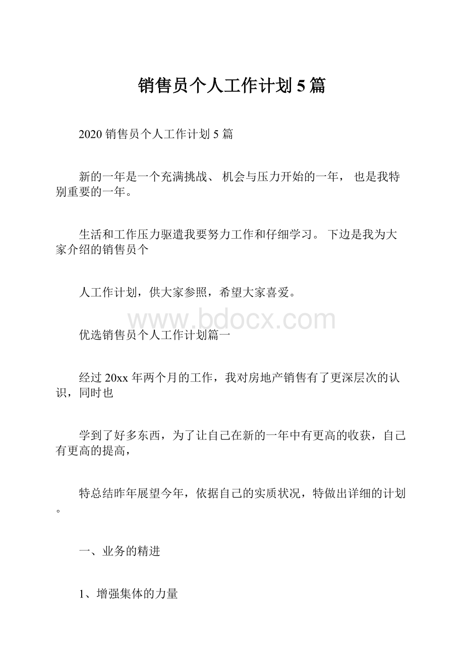 销售员个人工作计划5篇.docx_第1页