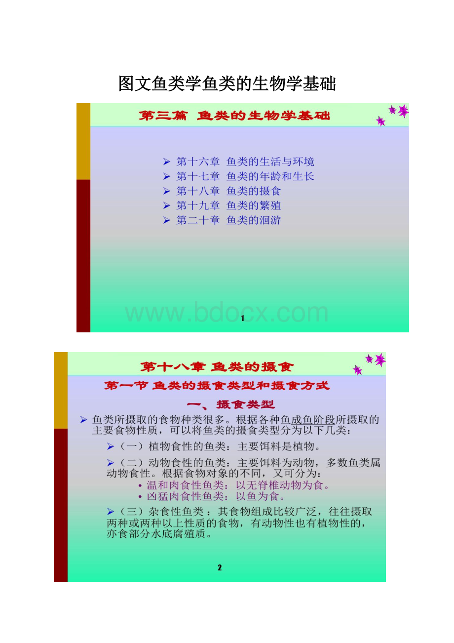 图文鱼类学鱼类的生物学基础.docx_第1页