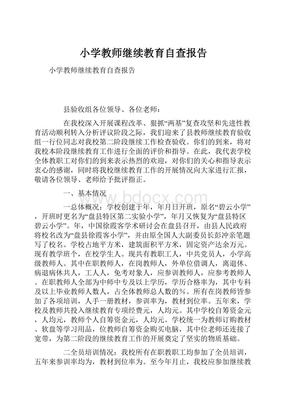 小学教师继续教育自查报告.docx