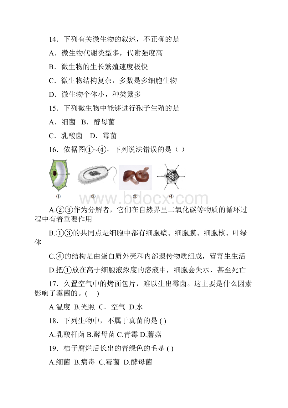 届中考生物精品复习专题卷真菌19页考点+点评+详细解析.docx_第3页