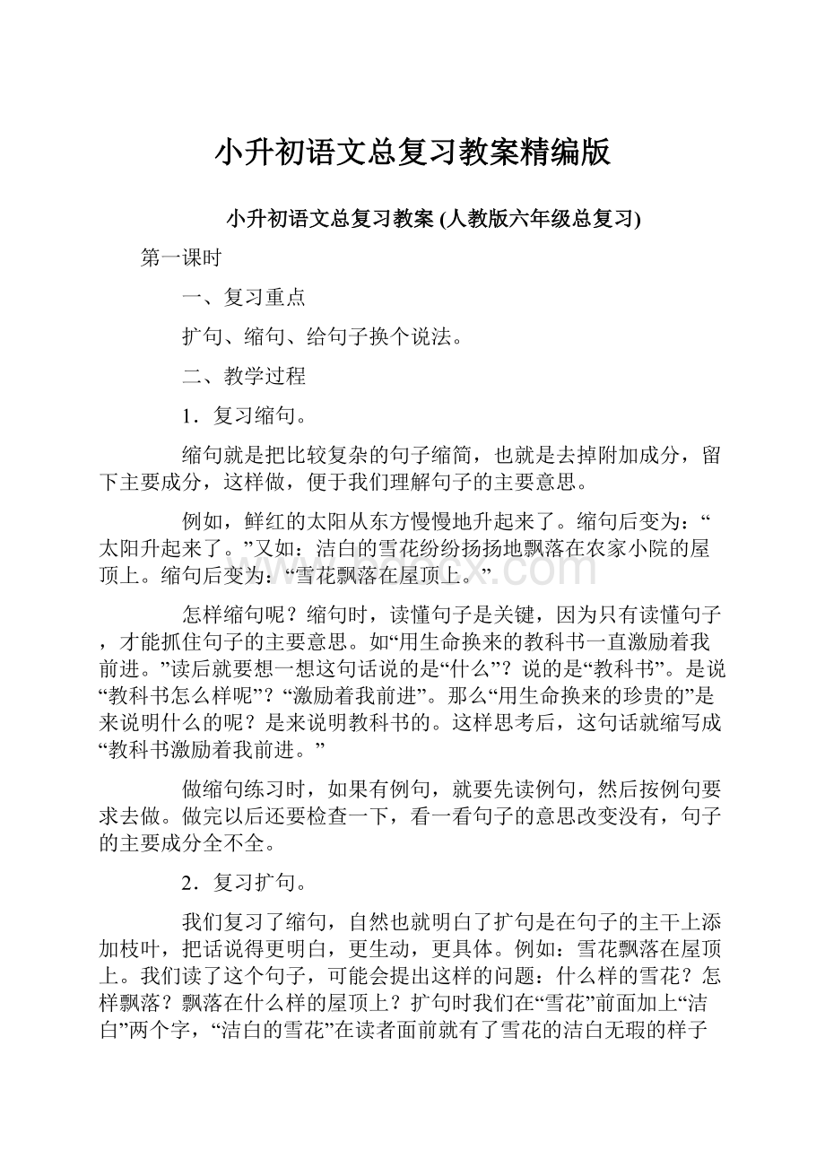 小升初语文总复习教案精编版.docx