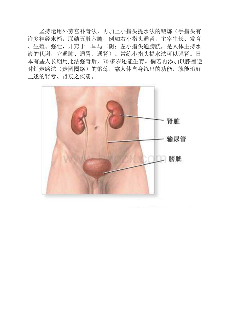 按摩后背精力百倍.docx_第2页