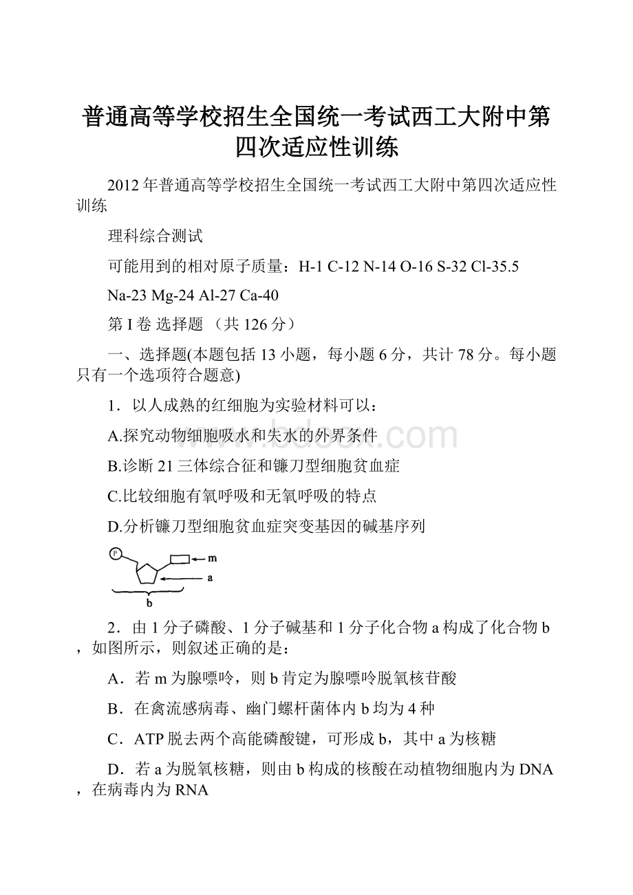 普通高等学校招生全国统一考试西工大附中第四次适应性训练.docx