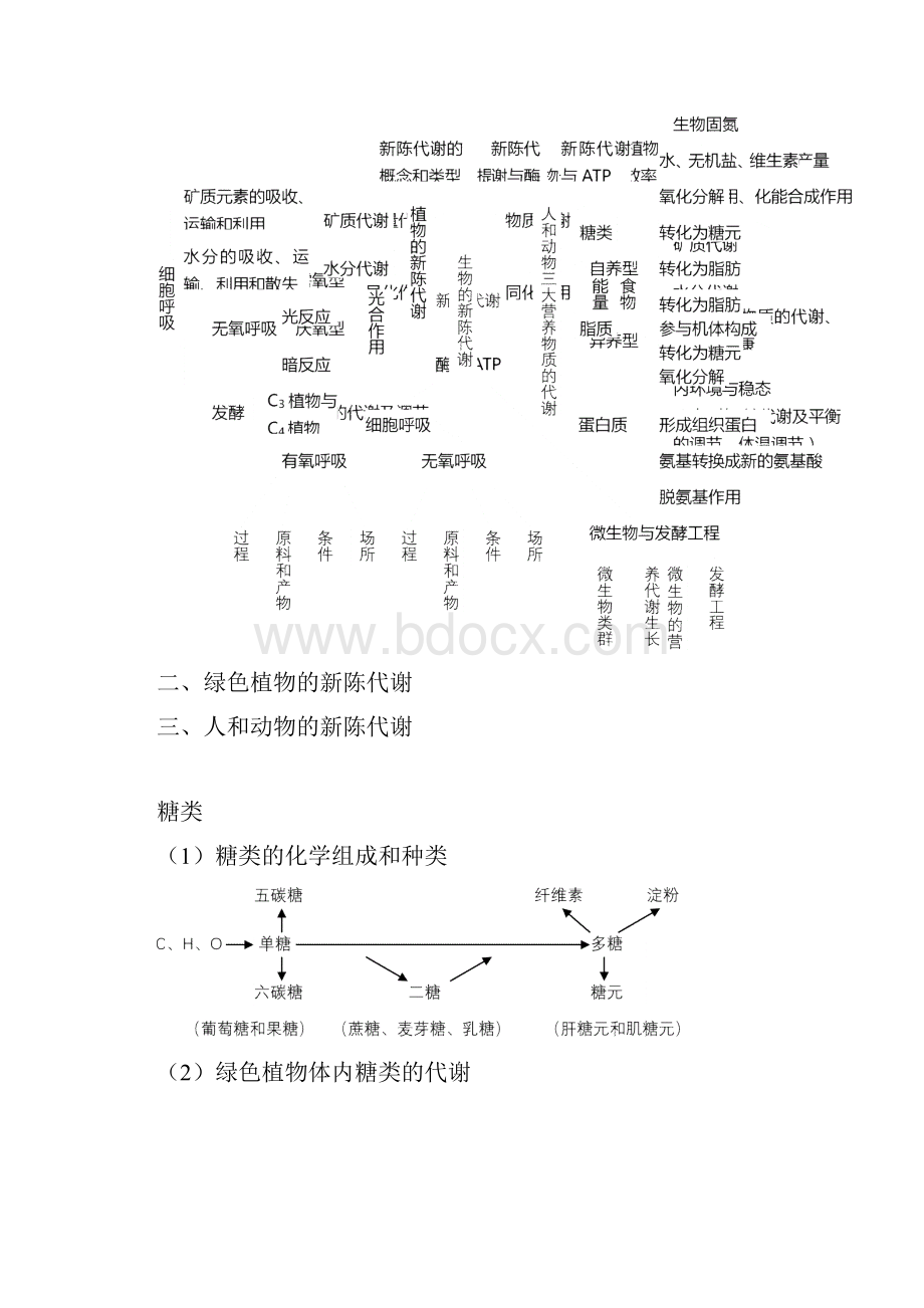 精品生物高中生物知识网络体系教案.docx_第3页