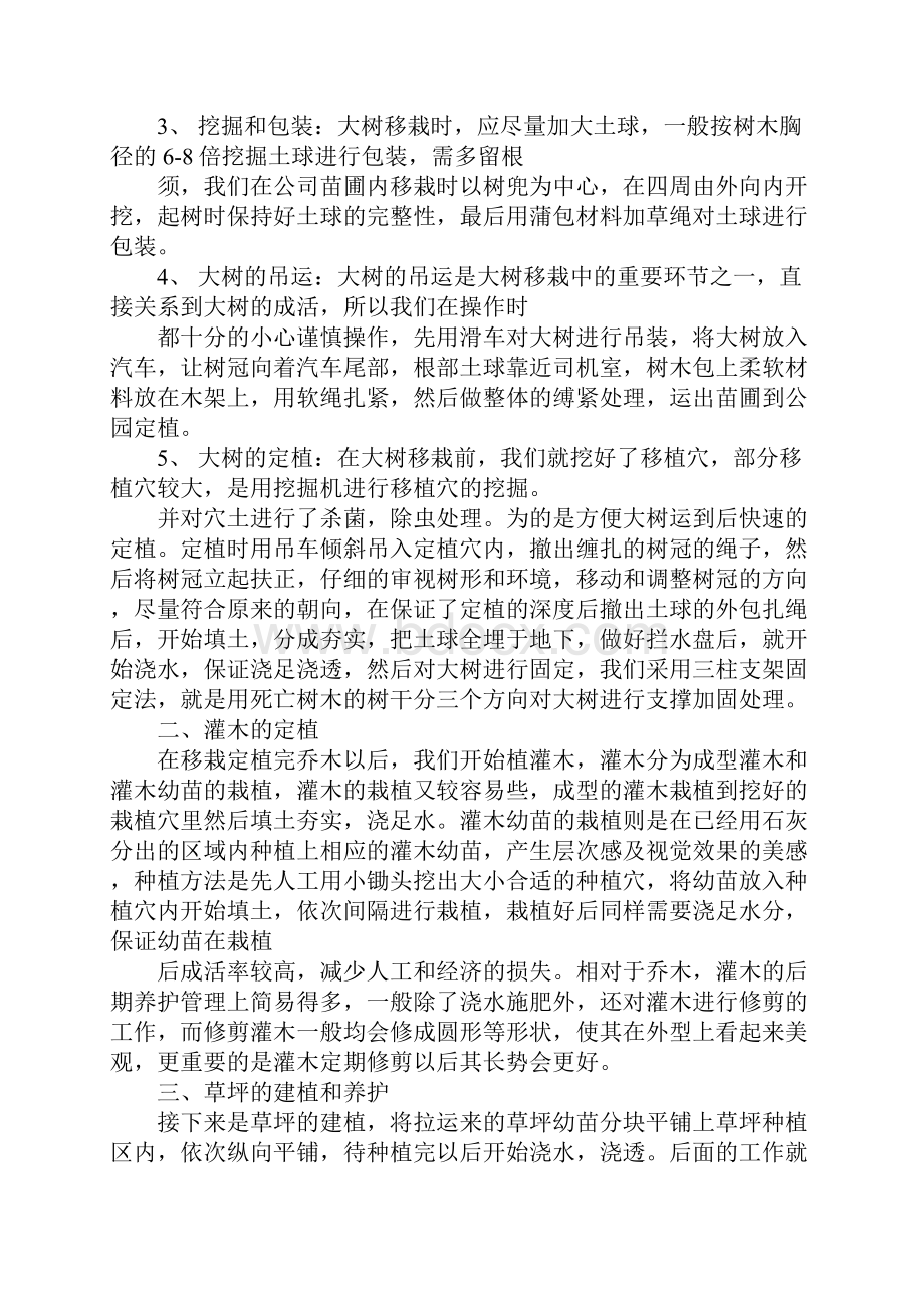 园林绿化实习报告.docx_第2页