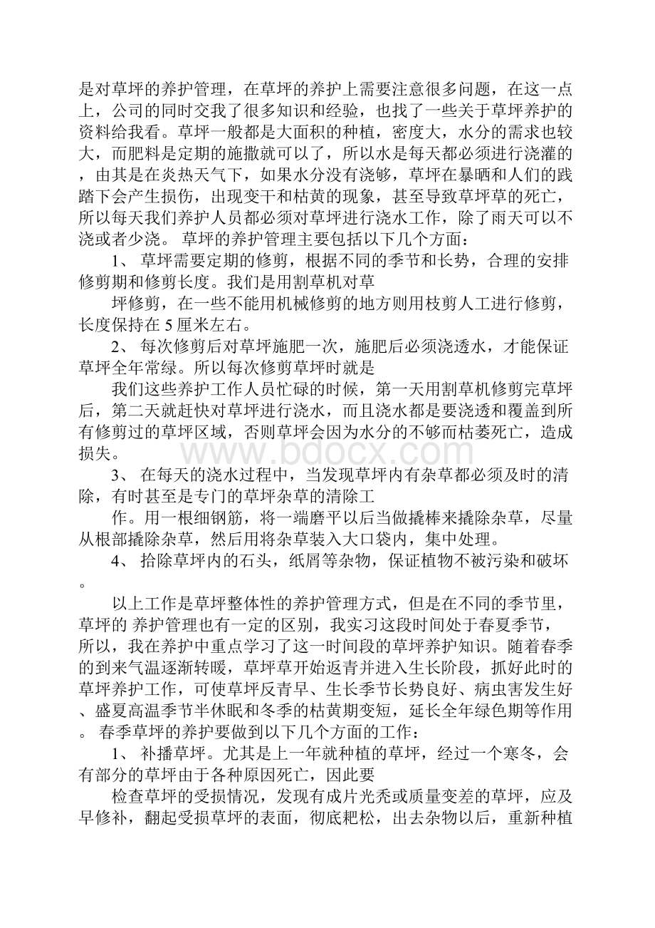 园林绿化实习报告.docx_第3页