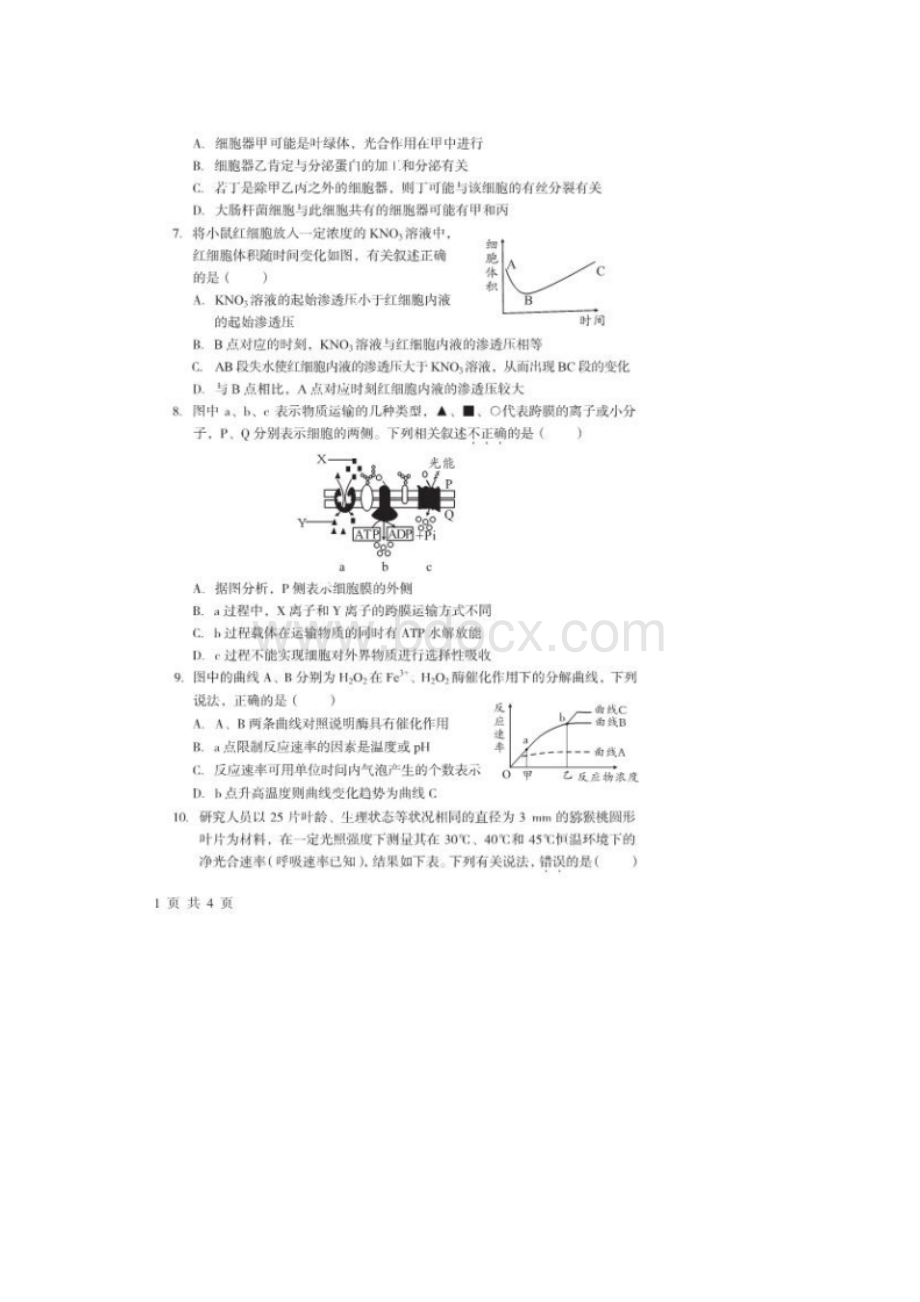 安徽省合肥市学年高二生物分班考试试题 精品.docx_第2页