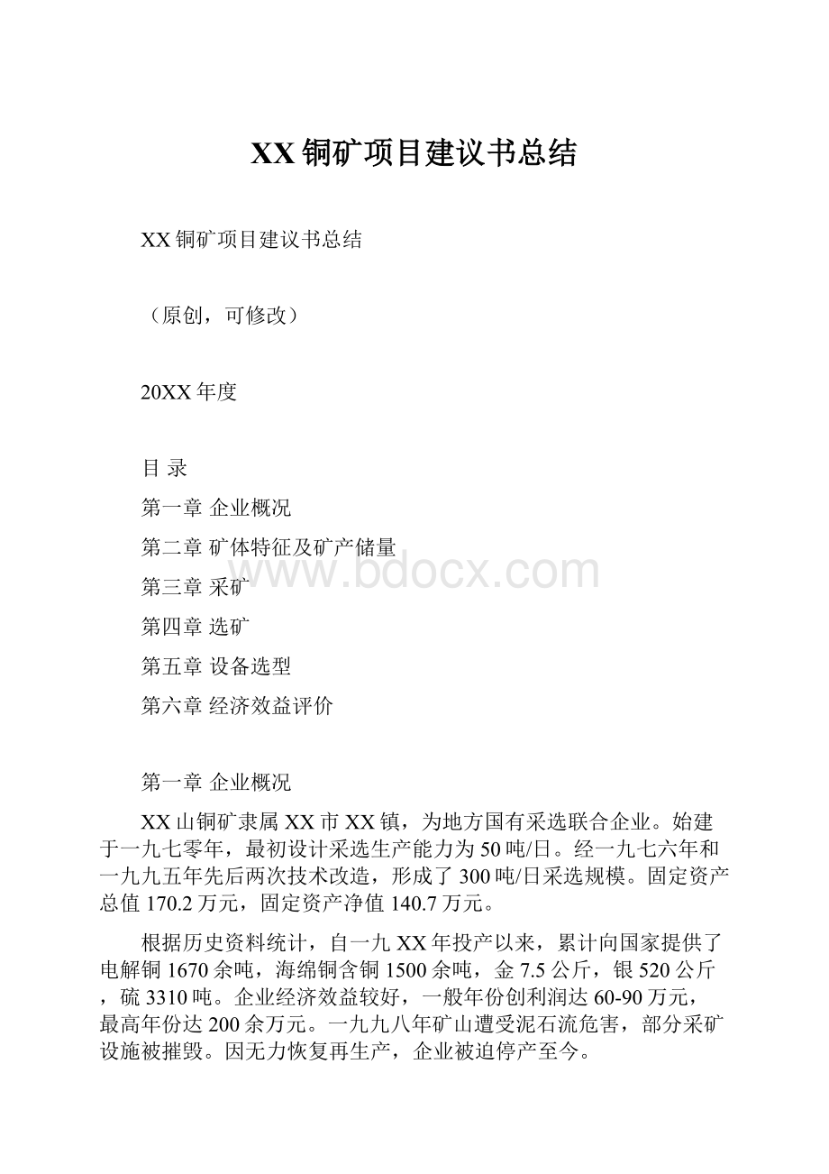 XX铜矿项目建议书总结.docx